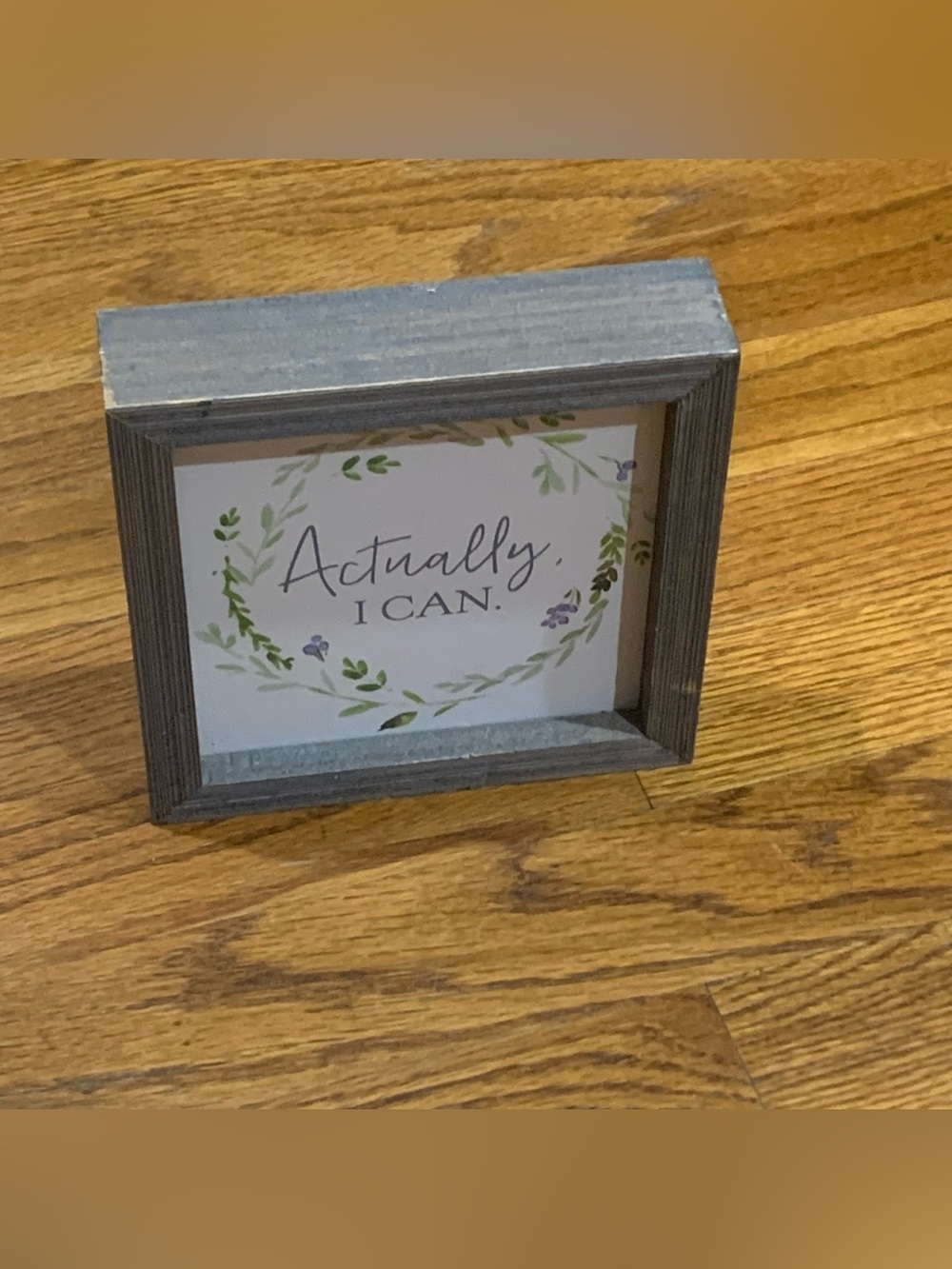 Actually I Can Sign Plaque Home Decor Tabletop Shelf Kitchen Dining Bedroom 
Mea